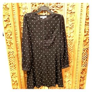 Loft polka dot flare dress